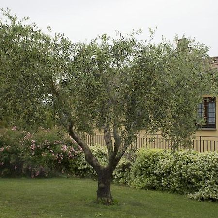 Agriturismo Scuderie Della Contea Sutri Ngoại thất bức ảnh