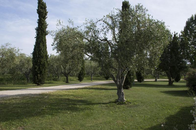 Agriturismo Scuderie Della Contea Sutri Ngoại thất bức ảnh