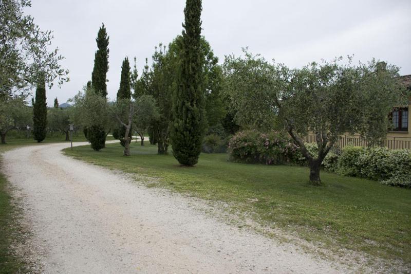 Agriturismo Scuderie Della Contea Sutri Ngoại thất bức ảnh