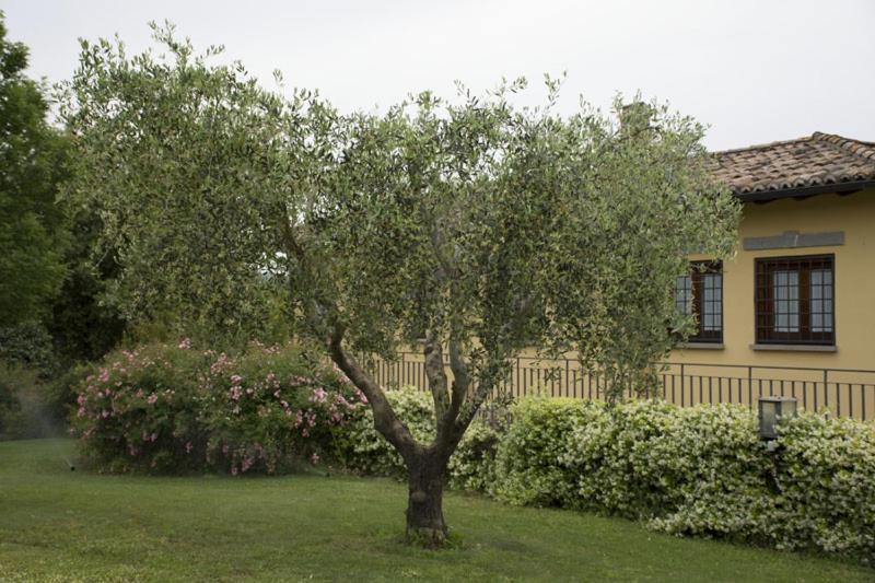 Agriturismo Scuderie Della Contea Sutri Ngoại thất bức ảnh