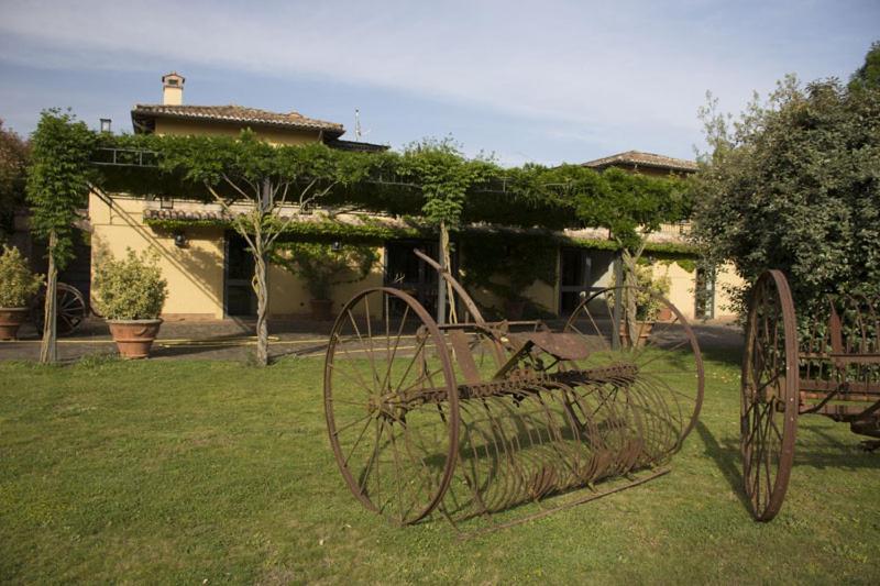 Agriturismo Scuderie Della Contea Sutri Ngoại thất bức ảnh